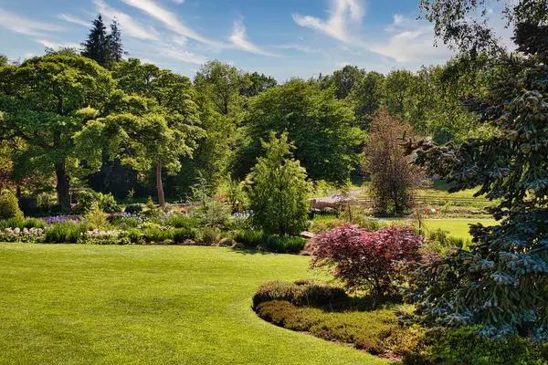 Exploring the Longevity of Rubber Mulch and Its Impact on Soil Health